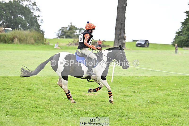 240804-144437-15457 - 555-Jack_Wish-WESTERLAKE_BUTTONWEED