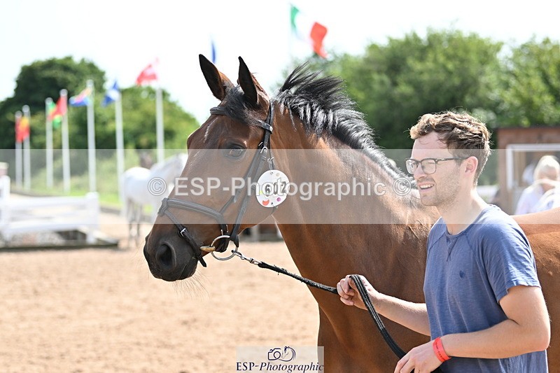 240717A-155847-03239 - Trot Up 3pm to 4pm