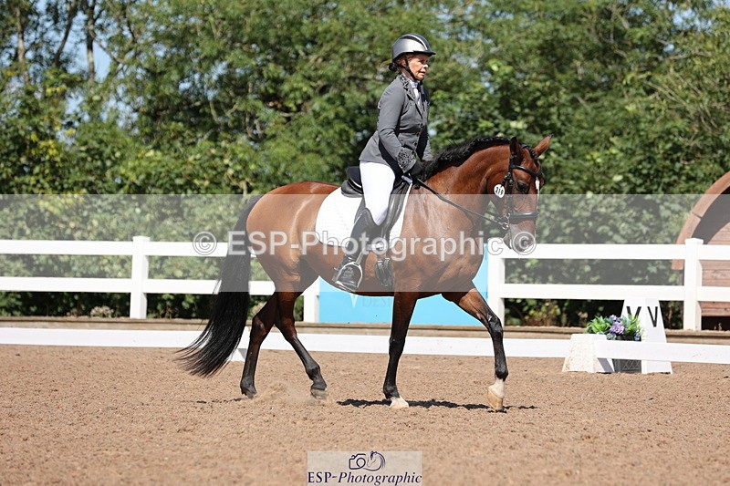 240816A-115639-04309 - 219-Sarah.Baldwin-Ervilha.Dos.Leitoes