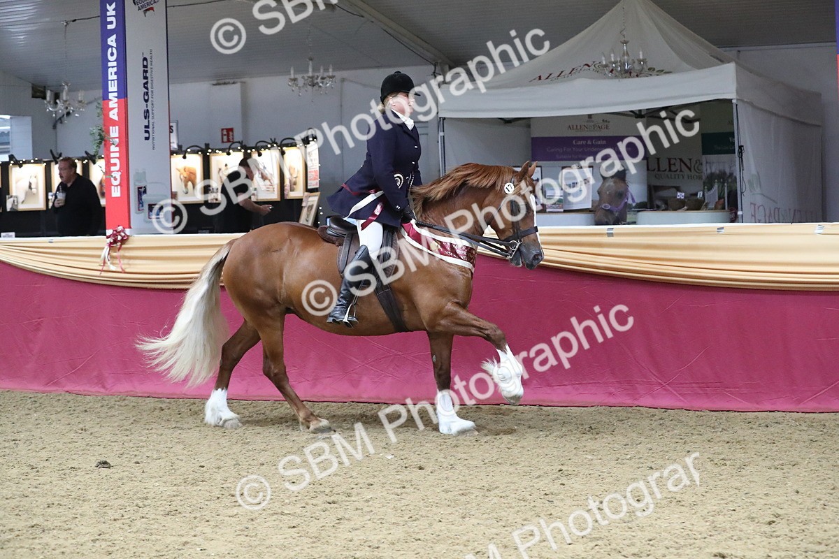 SBM_16547 - Class 502 M&M Ridden Supreme Final