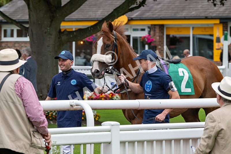 260724-Graham Lee Stable Staff Stakes-2940 - Graham Lee Stable Staff Stakes