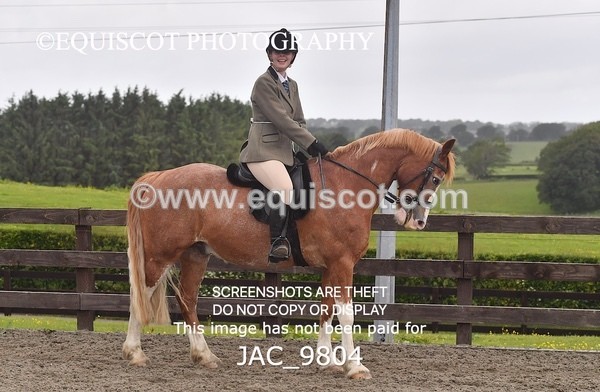 JAC_9804 - CLASS 2 Novice Working Hunter (0.60m - 0.70m)