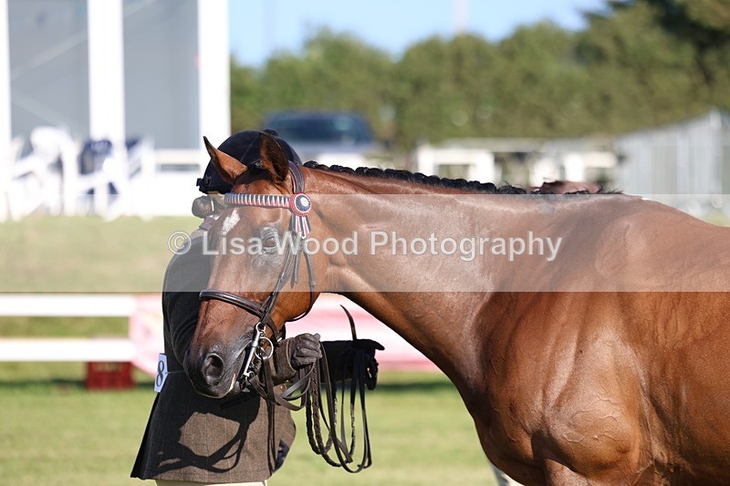 3E7A5150 - Class 1: Rising Star Small Hack/Riding Horses