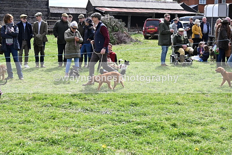 WJ6_8258 - Class 4 Prettiest Bitch