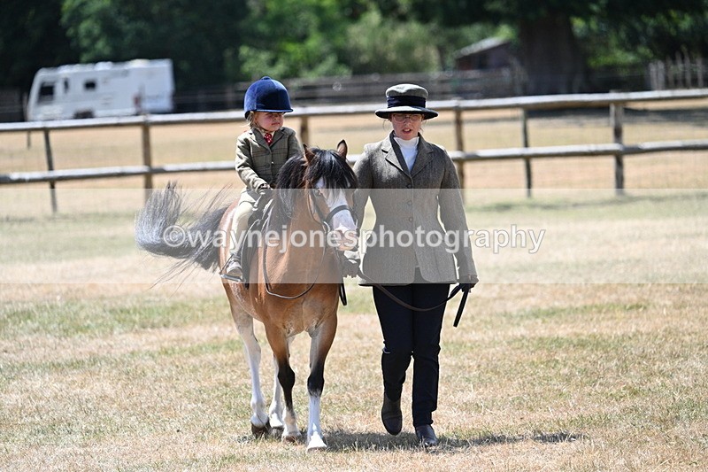 WJ7_2551 - Class 6 Ridden Mountain and Moorland