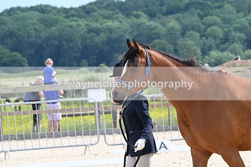 WJ7_8214 - Time 16:10 to 16:25