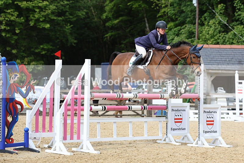 3E7A7776 - Class 8: Senior Foxhunter/1.20 open