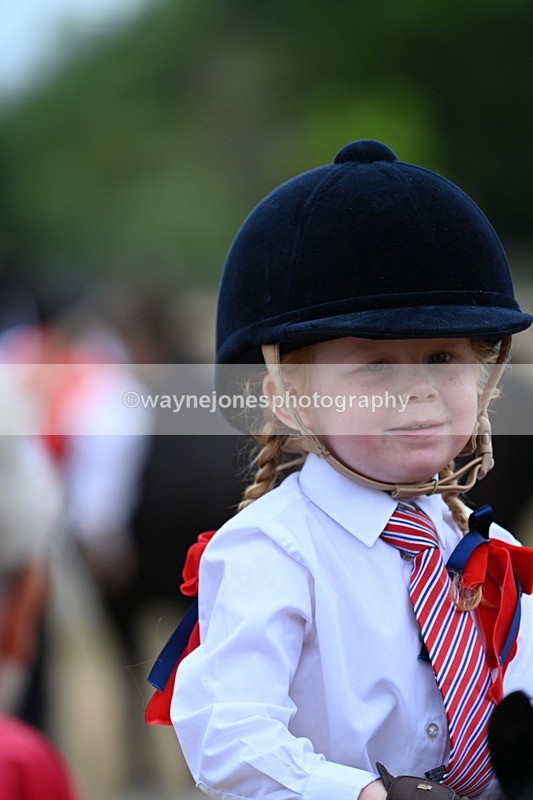 WJ7_8478 - Class 4 Prettiest Mare up to 14.2hh