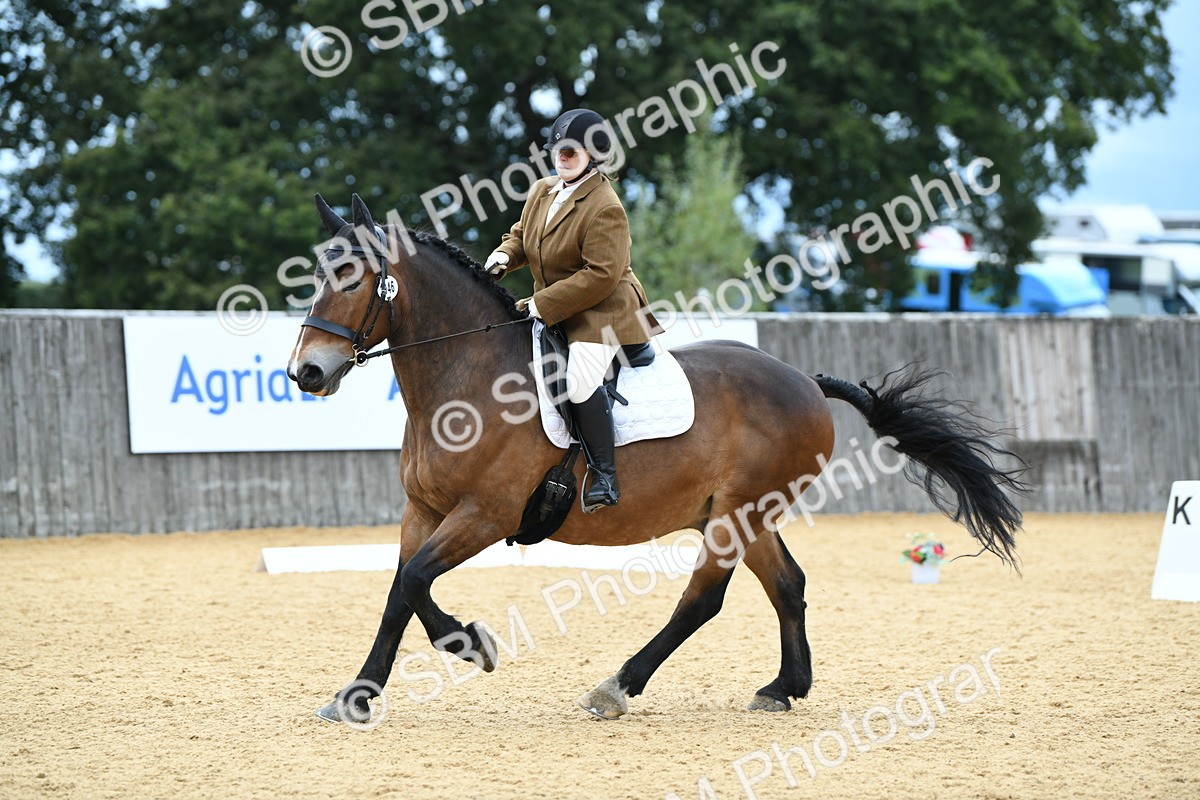 SBM_10031 - D15 Small Tour Championship Novice 24