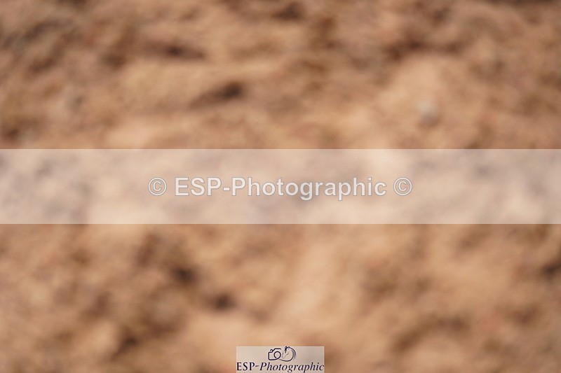 240524A-105846-02963 - Cls 14 Newcomers