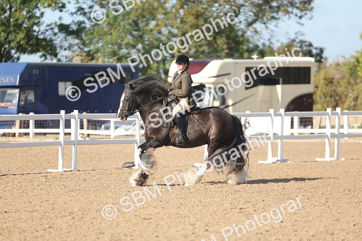 SBM_22199 - Class 802 - Ridden Groom Helpers Class