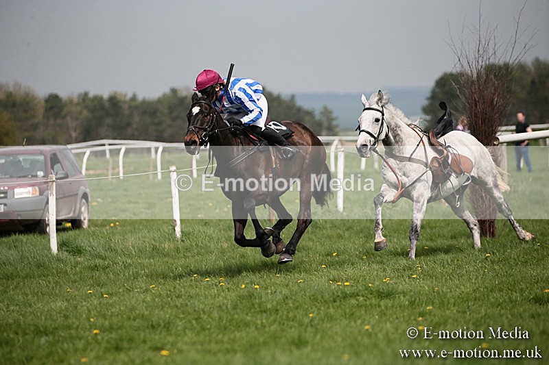 PtP 210418 24 - South & West Wilts Point-to-Point Larkhill 21/04/18