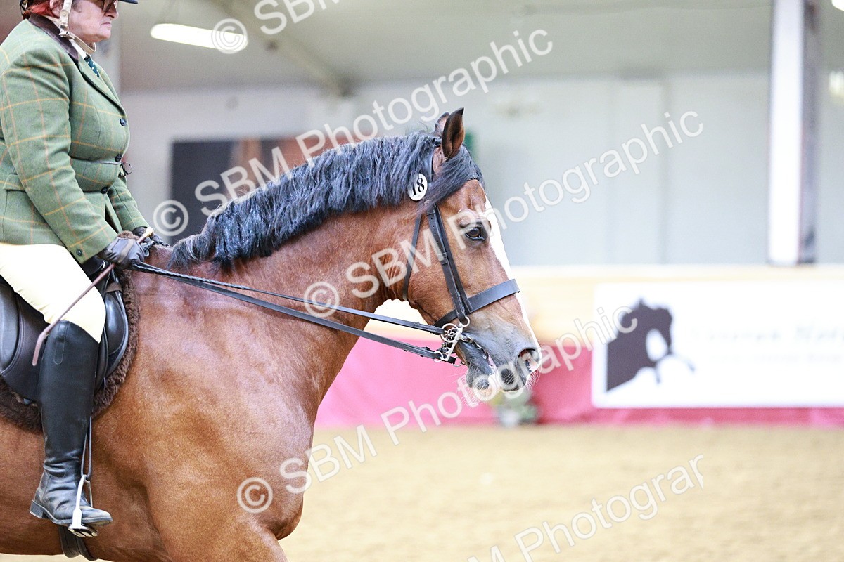 SBM_03615 - Class 6A Area Ridden Pre-Vet