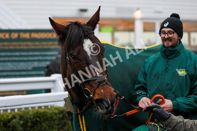 100225-Race 4-Onesoc-5875 - Race 4