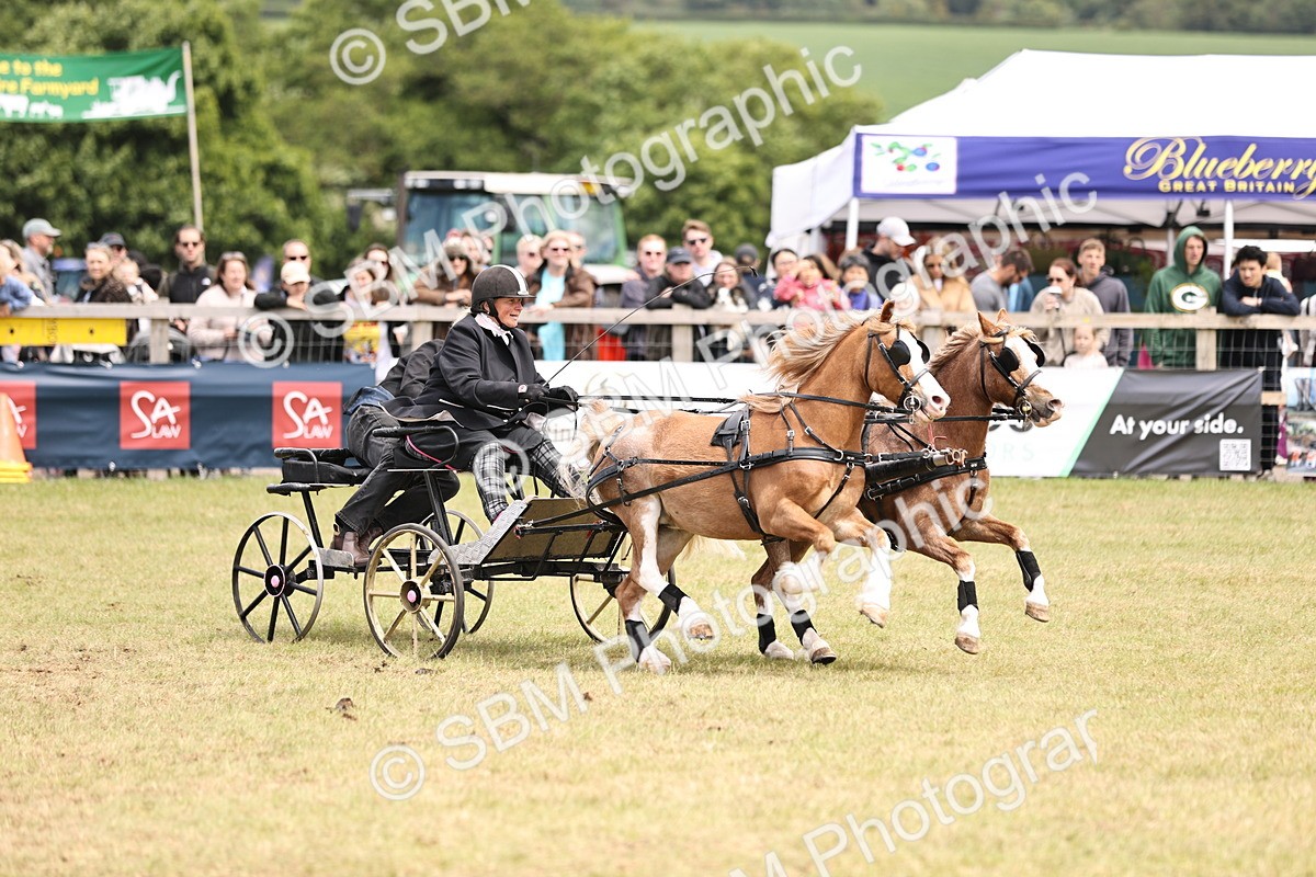 SBM_15268 - Class 90 - Scurry 122cm and Under