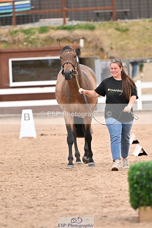 250716-160707-02417 - Trot Up 3.30 to 4.30