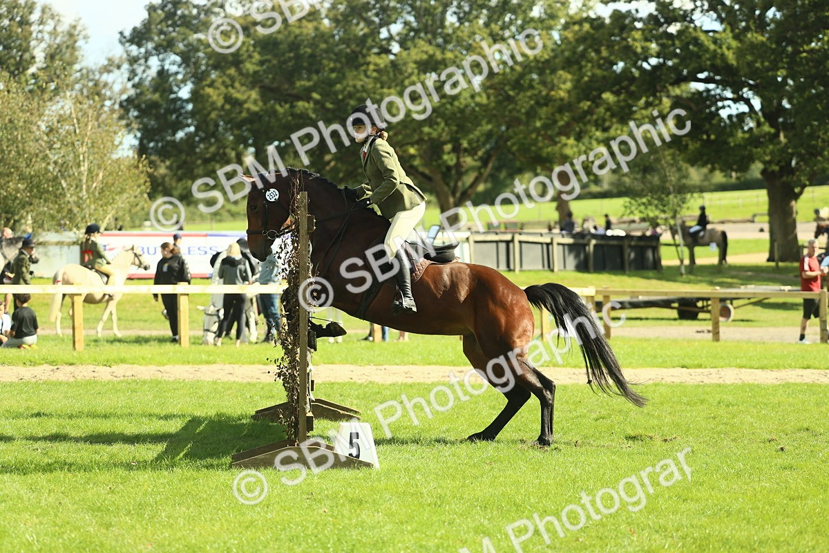 SBM_48089 - S32 - Novice & Newcomers Working Hunter