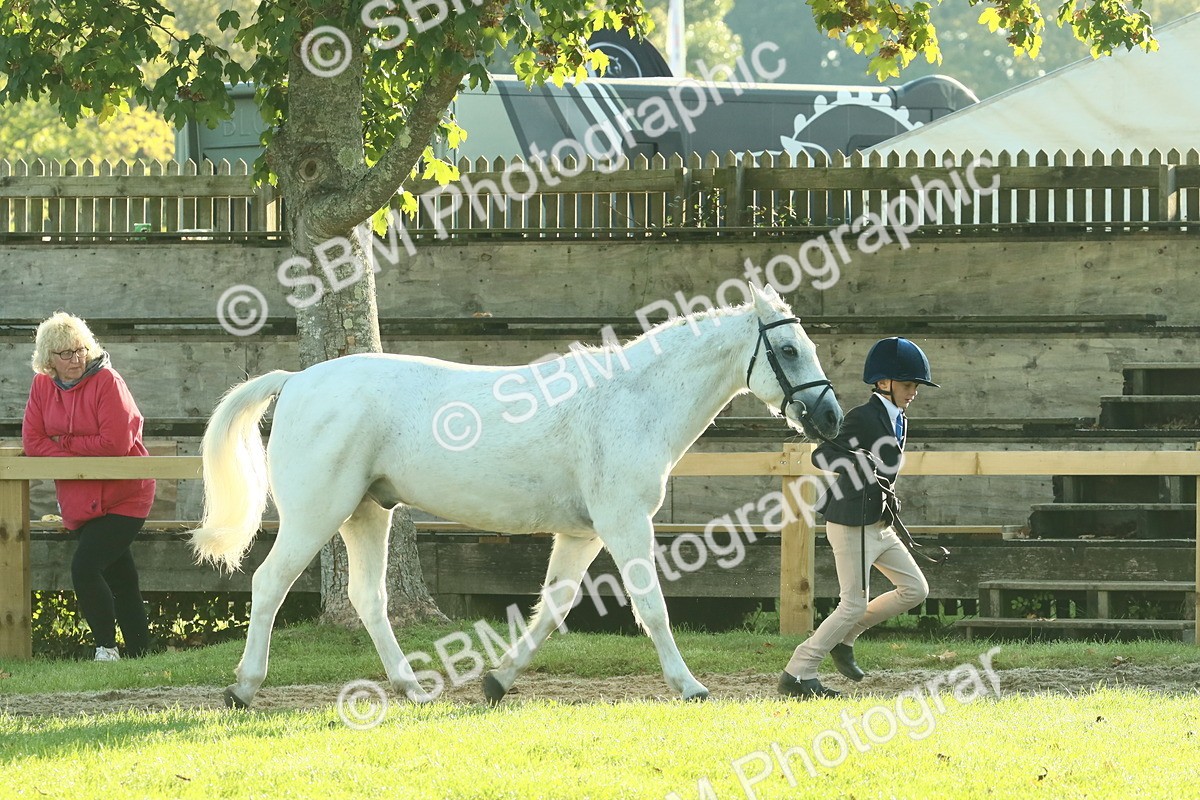 SBM_57360 - S37 - Starters In Hand Showing