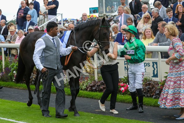 240823-Race 1-Relief Rally-5000 - Race 1 1.50pm Sky Bet Lowther Stakes
