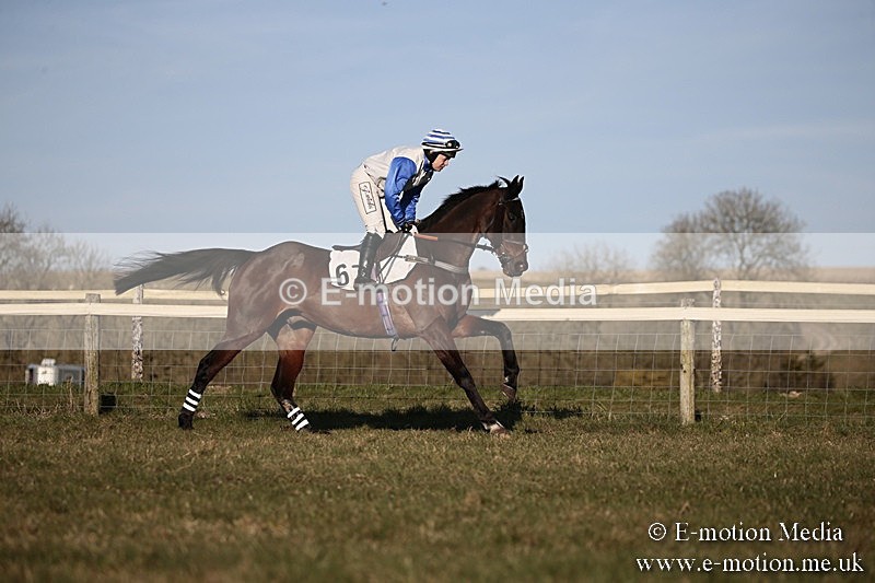 PtP 240218 642 - Vine & Craven Hunt Point-to-Point Barbury racecourse 24/02/18