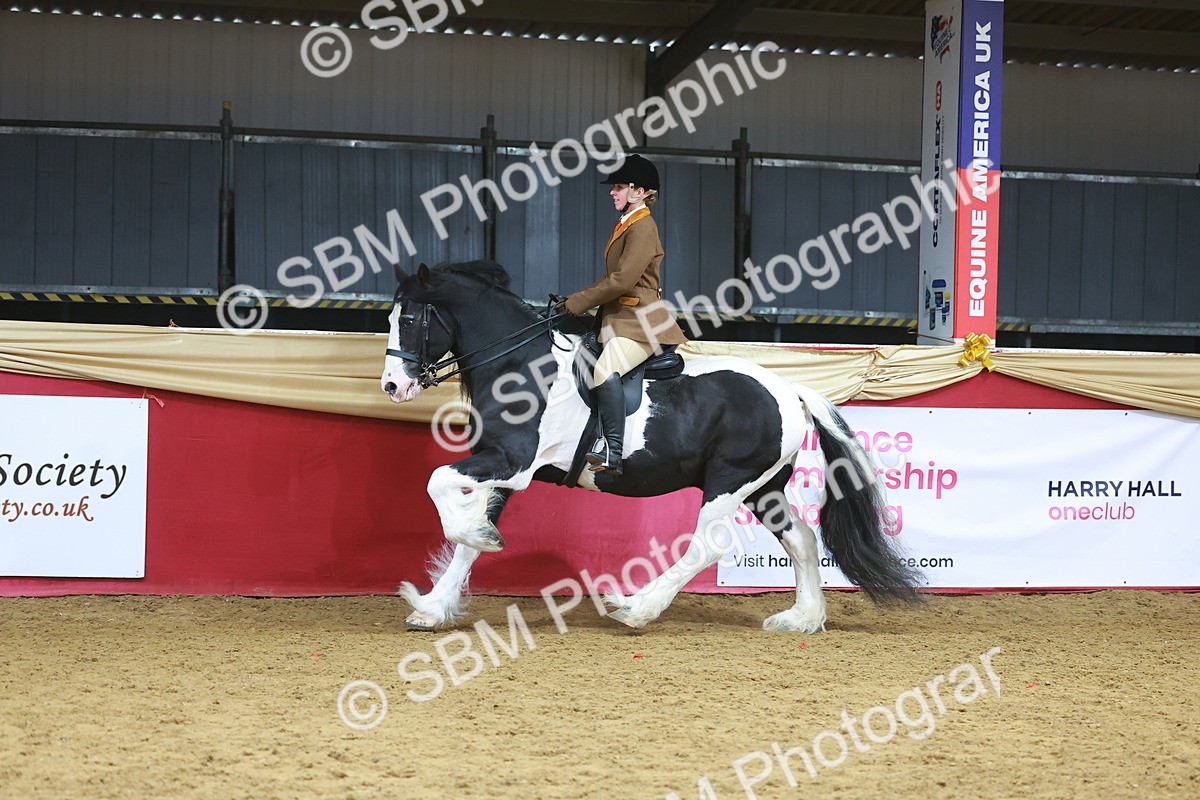 SBM_09660 - Class 102 - HOYS Veteran Qualifier - Ridden Veteran