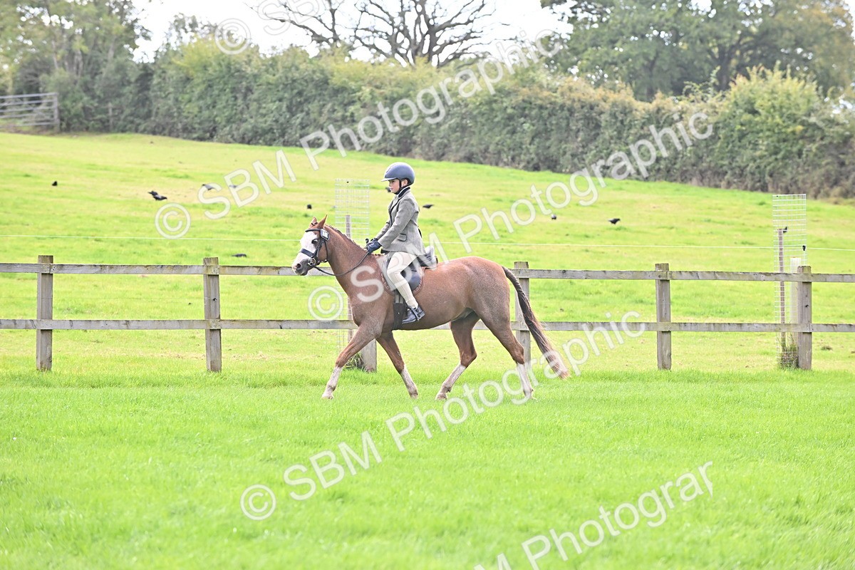 SBM_44491 - S13 - Pony Club Pony