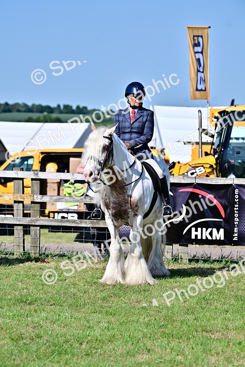 SBM_19441 - Class 101-102 - BSPS LIHS Performance Coloured Horse/Pony