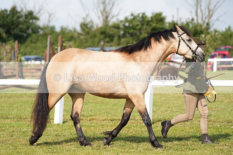 DSC05137 - Class 48: NPS M&M 2/3 year olds
