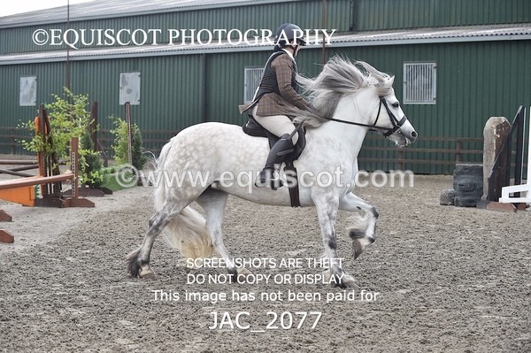 JAC_2077 - CLASS 1 Nursery Novice Working Hunter