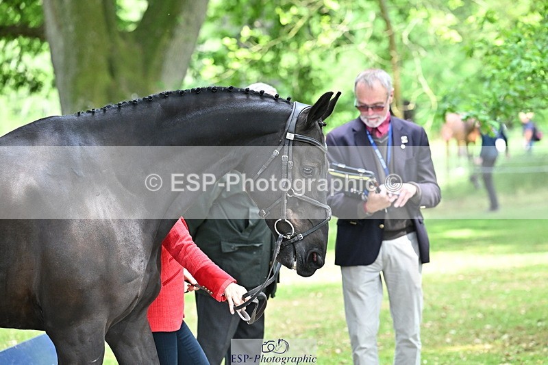 250521A-151421-00363 - B-304-Katie.Magee-CUSHLAS.INDIGO