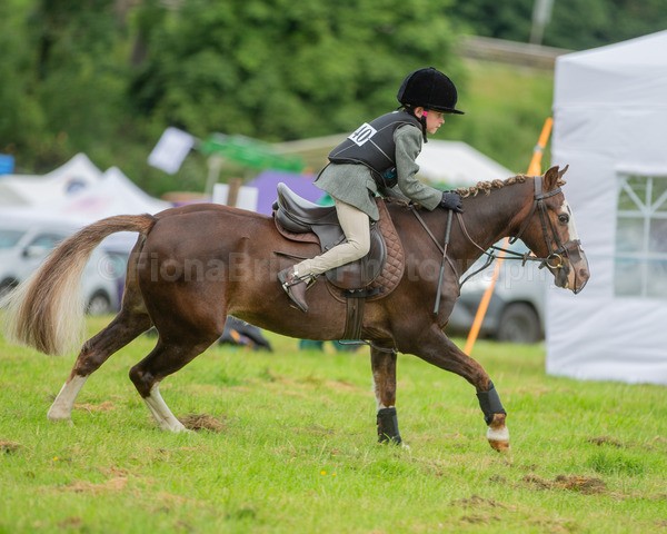 Dunblane show-23 - Dunblane and Doune Show Ring 1