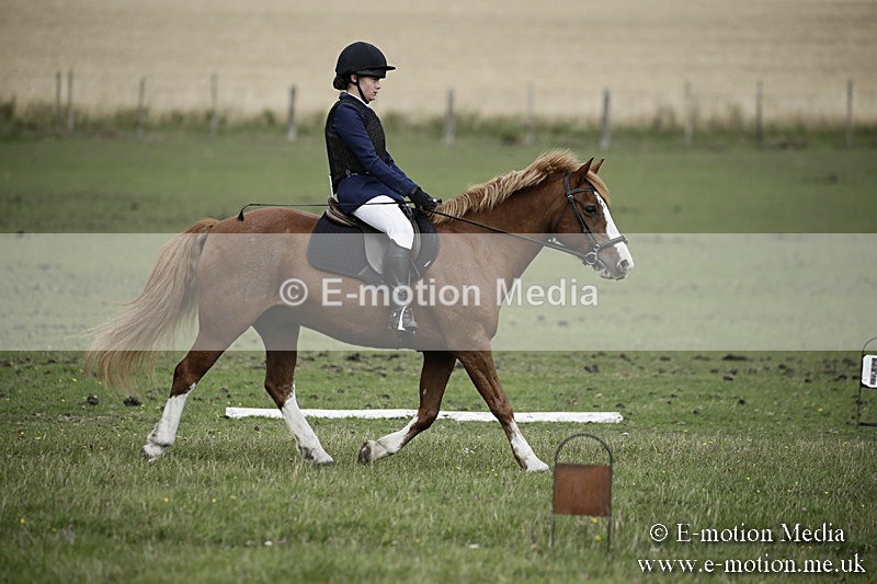 BVR090918 210 - BVRC Dressage and Show Jumping 09/09/18
