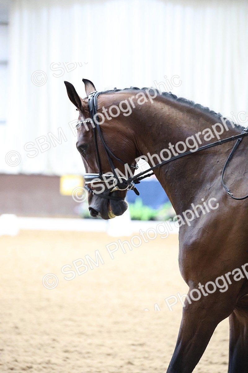 SBM_002126 - Class 5 - Novice 6 Gold - 9.00-10.10