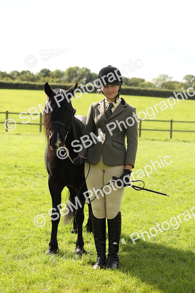 SBM_62881 - S46 - Mountain & Moorland In Hand Small Breeds