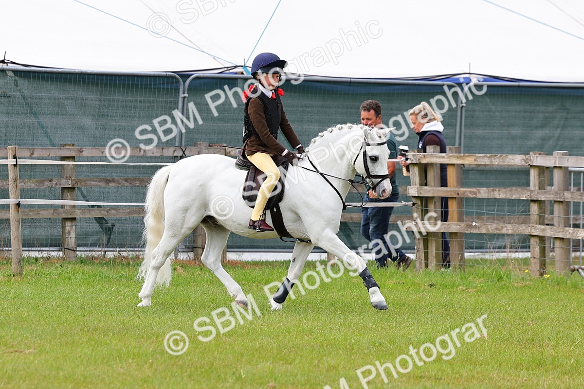 SBM_09581 - Class 44-45 - LIHS BSPS Open Nursery and Cradle Stakes