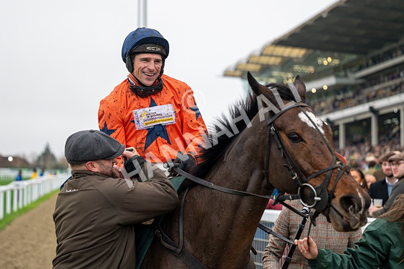 151125-Race 4-Panic Attack-0907 - Race 4