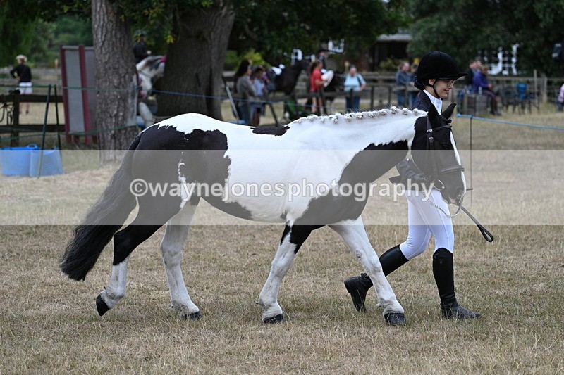 WJ7_8363 - Class 4 Prettiest Mare up to 14.2hh