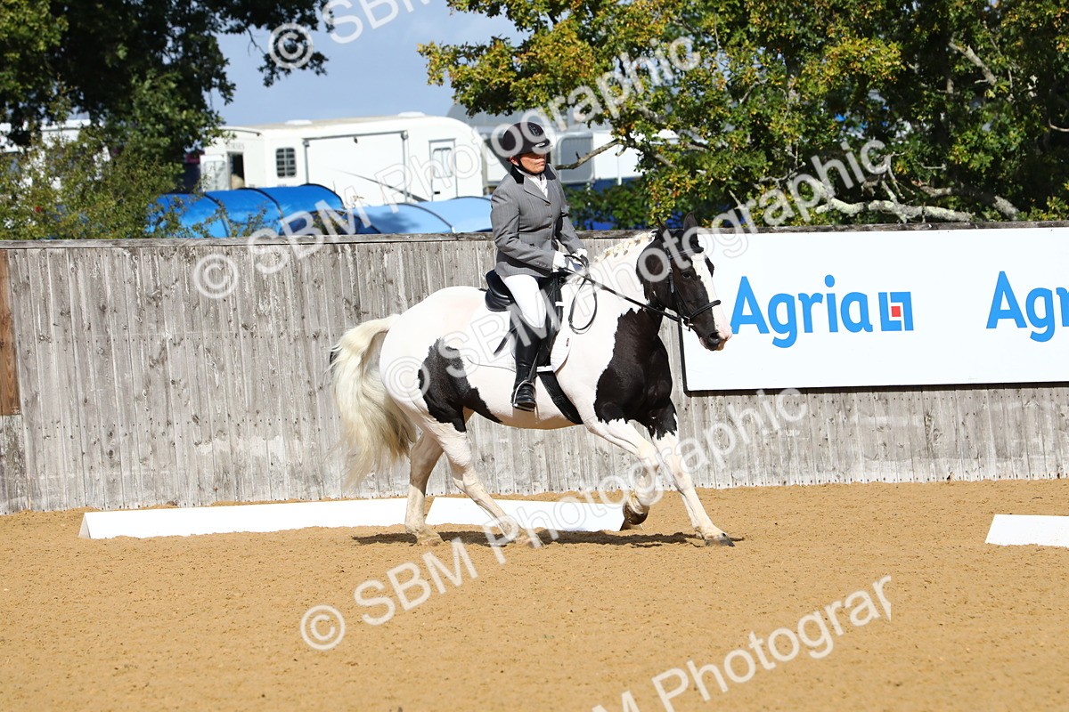 SBM_18266 - D31 - Grand Tour PYO Open .