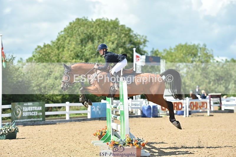 230723A-154938-13195 - Cls 16, 1 Star Bronze 1.15m