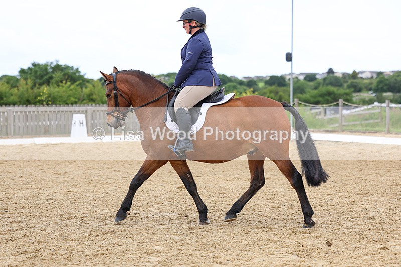 3E7A9553 - Class 2: Intro 1 2024 Section B