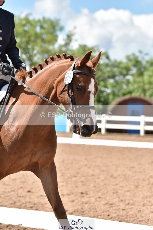 240706A-154756-04012 - Cls 4D Snr Elementary