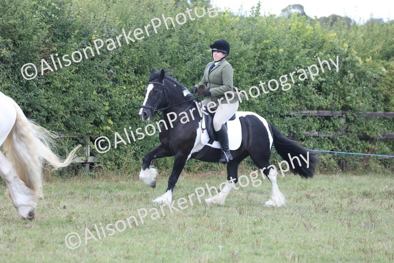 20250831-4280 - Class 20 - Ridden Coloured