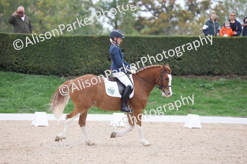 20251011-0411 - Class 4 - Novice 2