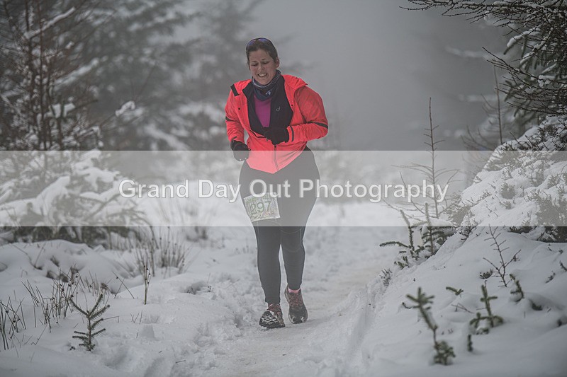 Glentress-1550 - High Terrain Events Glentress 42, 21 & 10K Trail Races Sunday 15th February 2026
