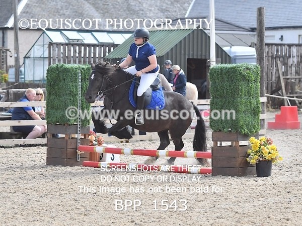 BPP_1543 - DERBY CLASS 3 - 40CM