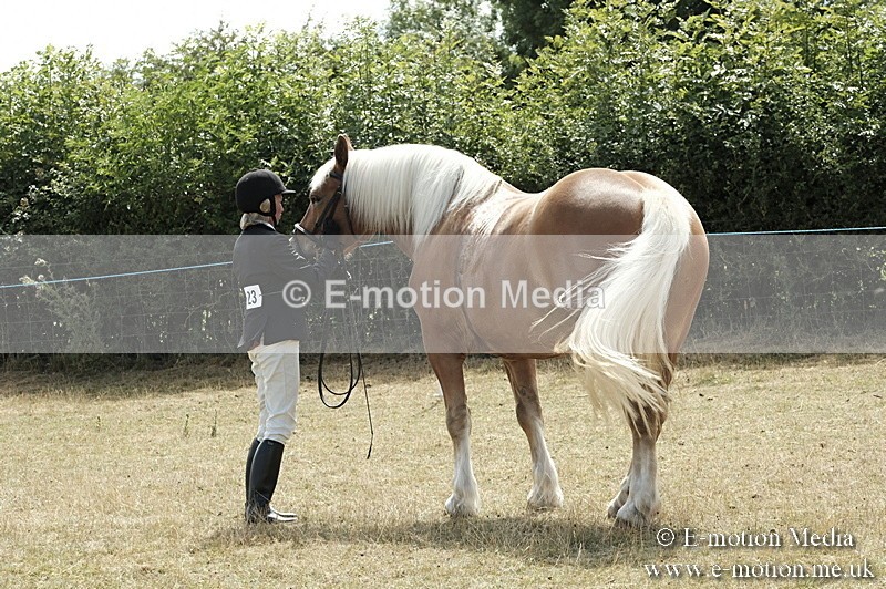 _PJP6066 - BVRC Show 2018 Ring 1