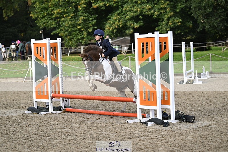 251005A-091501-03011 - Cls 02 GR 50cm