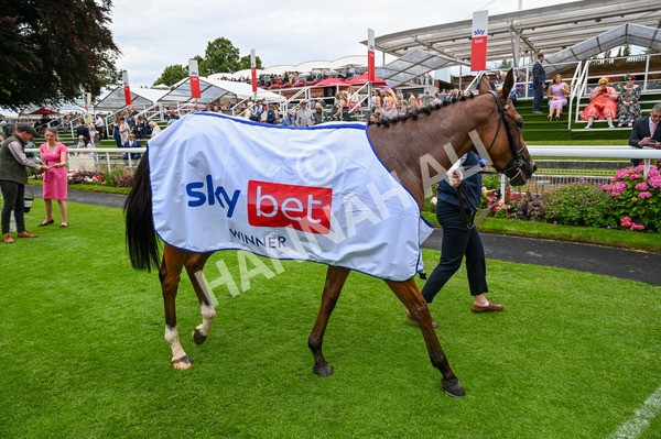270724-Race 2-Rage Of Bamby-9342 - Race 2 2.40pm Sky Bet Dash Handicap