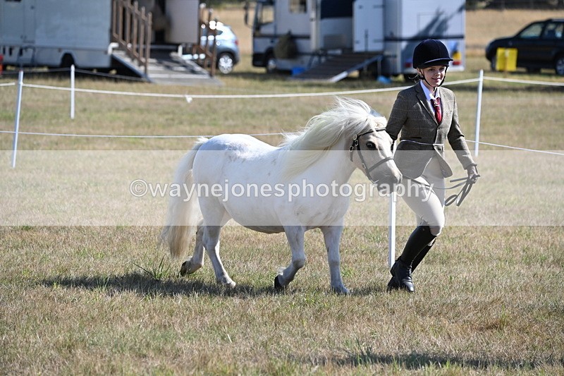 WJ6_4187 - Class 16 Condition & Turn Out