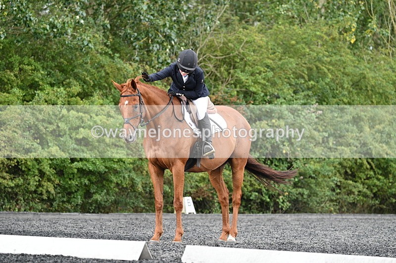 WJ7_7937 - Time 13:40 to 14:00